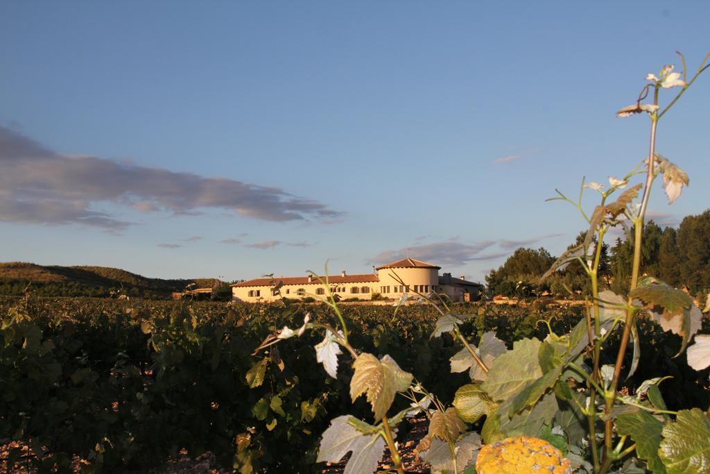 Hotel Enoturismo Mainetes Fuente-Álamo Exteriér fotografie